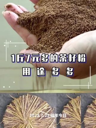 7元1斤茶枯粉!除了洗头洗碗还能作用于蔬菜灭蚜虫,蔬菜肥料#茶枯粉 #茶枯粉洗头 #好物推荐🔥 #我要上热门🔥 #我要流量