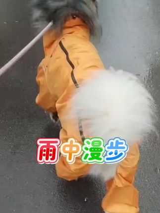 #萌宠 #毛孩子可以治愈一切烦恼 #狗子的幸福 #狗是人类最忠诚的朋友请善待它 @#DOU+小助手 @爱狗的人