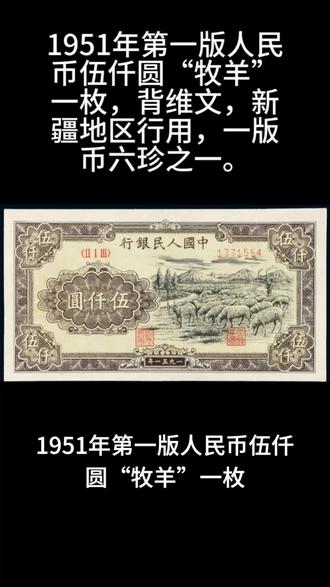1951年第一版人民币伍仟圆“牧羊”一枚,背维文,新疆地区行用,一版币六珍之一。#老版人民币 #老版人民币 #藏品 #老情怀老物件 #上热门 上