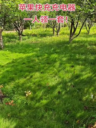 #苹果充电器#苹果数据线#苹果快充 #超便宜超划算#数码科技