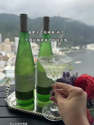 酒蒙子已经喝第5杯了!下班回家微醺的专属仪式感~ 灵动雷司令半甜白~每一口都是葡萄园的夏日私语~#快乐水 #酒蒙子的日常 #强烈推荐 #仙女都在喝什么 #好喝不贵