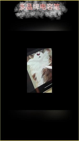 手机平板通用电容触屏手写笔 #电容笔适配华为荣耀等触屏设备 #适用于多品牌的电容手写笔 #适用于多品牌手机的电容笔 #电容笔用于多品牌触屏产品 #多品牌通用的电容手写笔