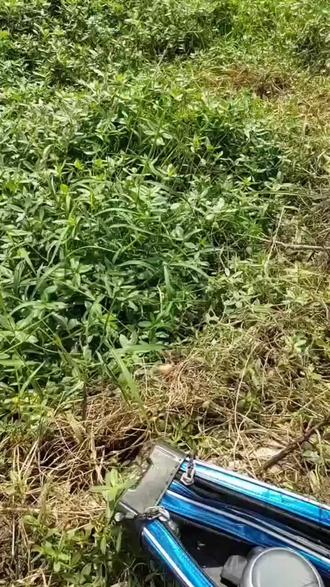 今天清溪河没口,明天柘皋河试试,感谢好友们的支持#钓鱼的乐趣只有钓鱼人懂