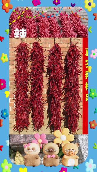 干辣椒串红辣椒厨房挂件真辣椒挂串手工编织辣椒挂件