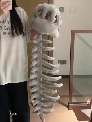这恐龙骨骼也太帅了点叭!#玩儿个很新的东西 #氛围感拍照 #恐龙