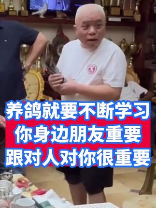 #信鸽#职业赛鸽