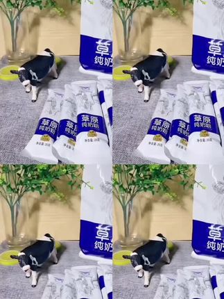 内蒙古纯牛奶粉500g中老年学生成人女士无蔗糖高钙奶粉独立小包装#营养丰富 #营养早餐 #上热门