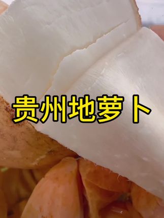贵州沙地地萝卜太甜了,皮薄肉厚 脆甜多汁,脆嫩爽口 又甜又脆,现挖现发新鲜得很哦 #优质农产品 #地萝卜 #地瓜#口感特别好 #源头好货