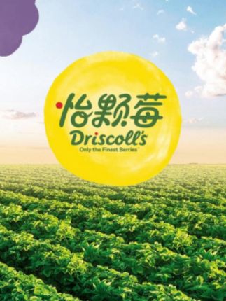 快来瞧瞧,秘鲁蓝莓如何演绎酸酸甜甜? #秘鲁蓝莓 #酸甜演绎 #水果特色