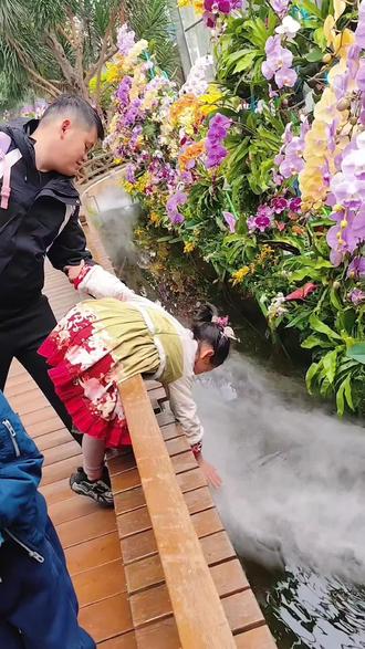 🌿武汉植物园捡宝!20多种神奇果实大集合✨#武汉溜娃好去处 #武汉植物园 #植物种子 #神奇的种子 #周末去哪儿