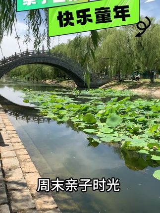 专治三分钟热度!这套趣味儿童钓竿,让孩子专注力飙升! #钓鱼 #小物钓 #儿童竿钓鱼 #钓鱼装备