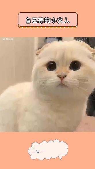 自己养小火人#多闪 #多闪app #小火人AI聊天