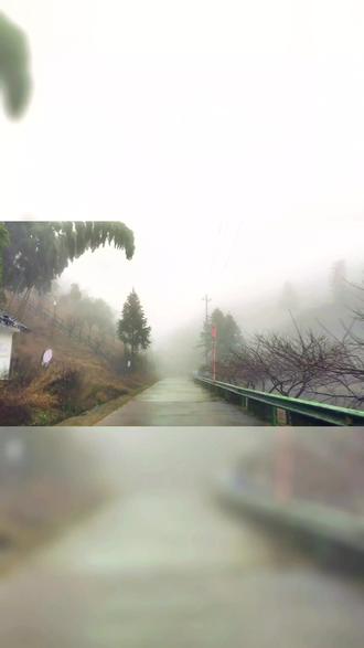 2023年11月11日衢州市灵鹫山越野赛——志愿者活动参与(大毛线最高处下出口)记录