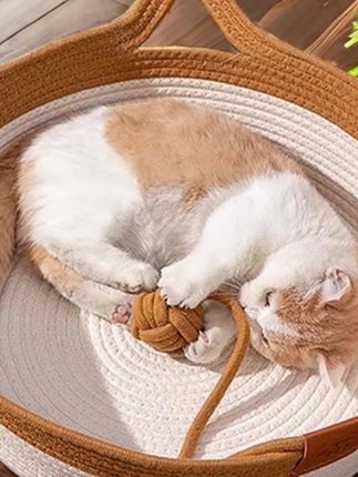 棉麻猫窝可水洗透气凉席沙发猫抓板窝猫咪睡觉专用小床#猫窝 #萌宠好物 #猫咪 #萌宠出道计划 #养猫人