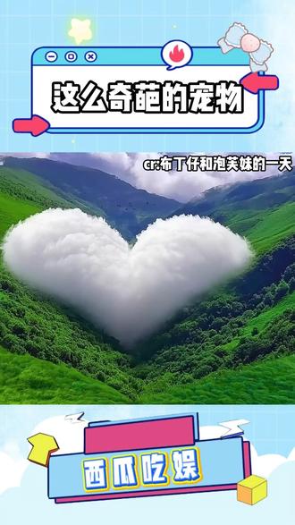 这么奇葩的宠物 #小众宠物 #抖音精选 #解锁精选云假期