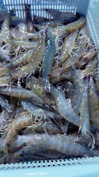 只需要34🤣🤣同城可送
