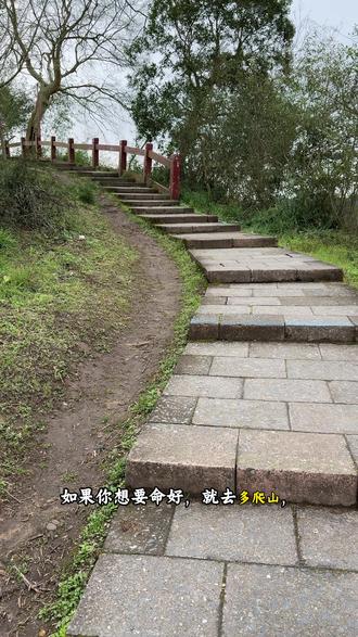 能量弱就要多爬山#爬山 #磁场能量 #人生感悟#干货分享 #国学智慧