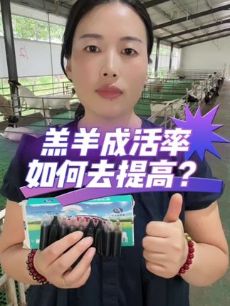 羔羊如何去提高成活率?#养殖技术 #养羊创业 #养羊技术分享 #养殖场专用