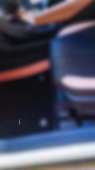 双拼比亚迪海豚