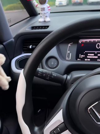 眼里只有你的可爱小狗公仔,谁能拒绝呀!#毛绒公仔  #车载摆件   #这么可爱