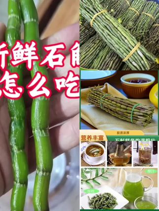 农户新鲜现采石斛鲜条500克新鲜铁皮石斛现采现发优势新鲜农产品