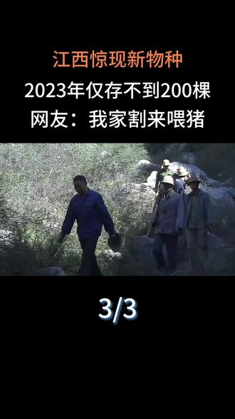 江西惊现新物种,2023年仅存不到200棵,网友:我家割来喂猪#科普#生物科普#野豌豆