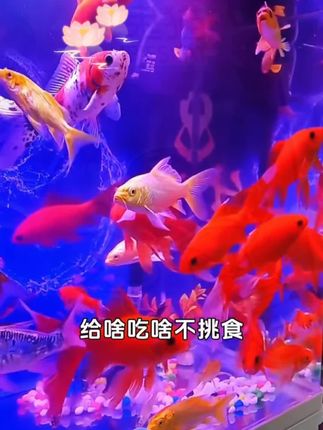 从小告诉孩子做个有教养的人,以后无论走到哪里都受欢迎#亲子教育 #家长必读 #正确的引导孩子陪伴孩子 #孩子教育 #育儿育己