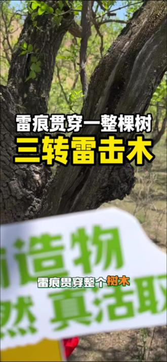 广东的师兄,你的牌子做好啦~ #雷击木 #道家文化 #手工 #锦渝造物 #民俗文化