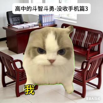 高中的斗智斗勇-没收手机篇
1~3合集(未完待续)
#高中生活#猫meme小剧场