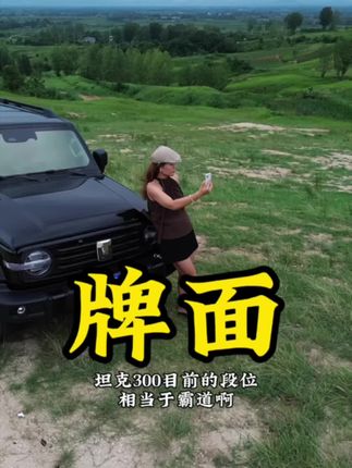 合计啥呢,干就完了#坦克300#硬派越野 #方盒子 #抖音汽车 #dou是好车