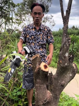 欧莱德锂电手电锯 #手电锯 #链条锯 #木工锯