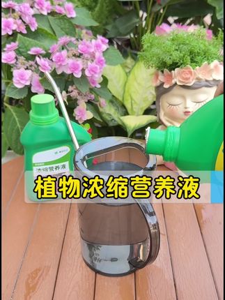 植物浓缩营养液 植物通用浓度营养液 9.9三桶快来抢#养花 #花卉绿植 #植物 #养花小知识