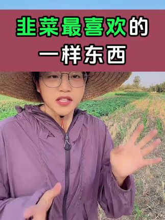 #韭菜施肥 #韭菜施什么肥根粗 #韭菜专用肥 #韭菜种植 #韭菜种植方法
