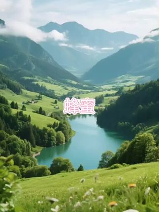 #蜂蜜 #蜂蜜推荐 #食用蜂蜜 #食用蜂蜜推荐 #木森大舞台