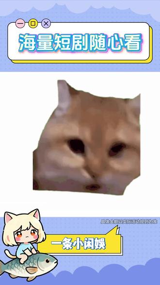 海量短剧随心看 #红果短剧 #短剧 #别划走
