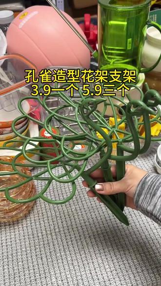 太阳花养得杂乱无章,不会做造型,可以试试这款孔雀花架 绑上枝条就可以了,特别简单 #孔雀花架 #孔雀造型支架 #多层支架 #太阳花支架 #超便宜超划算