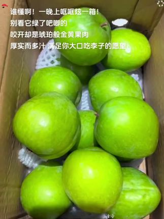 龙岩青奈李脱骨李,第一次见这么大的李子!嘎嘣嘎嘣脆,酸甜多汁,真的巨好吃,爱吃酸甜李的一定要尝尝!吃一次就会爱上! #李子 #青奈脱骨李 #新鲜应季水果 #好吃到停不下 #谁懂这一口的好吃程度