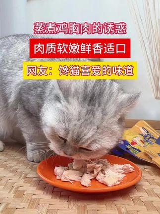 美味的蒸煮鸡胸肉#萌宠好物 #养猫新手 #养猫人