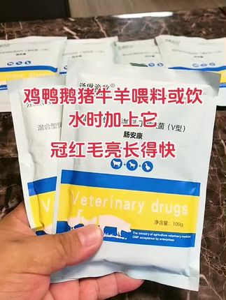 鸡鸭鹅猪牛羊养殖就用它,冠红毛亮长得快。#养殖#养鸡#散养土鸡#科学养鸡#鸡鸭鹅养殖