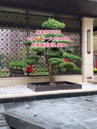 姐妹们快来看!又又挖到宝了~ 5.99到手一大支300克积雪草氨基酸洗面奶!泡沫丰富洗的干净不紧 绷!姐妹们快冲啊! #洗面奶#洁面#护肤#皮肤清洁#超便宜超划算