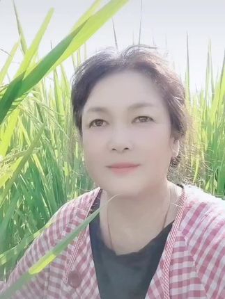 #农民种地种田不容易稻谷黄了 一年之计在于春