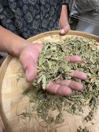 紫花地丁,知道可以干嘛用的吗? #植物科普 #潮汕人 #潮汕话 #你见过这种植物吗 #三农