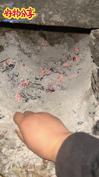 草木灰是个宝 养鸡少不了 #科学养鸡 #草木灰的作用 #养殖人的生活 #养鸡小妙招 #钙磷十八补