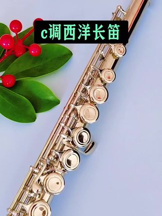 c调西洋长笛#萨克斯教学 #萨克斯演奏 #萨克斯