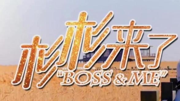 杉杉来了12-1 #杉杉来了全剧解说 #杉杉是个小太阳浑身充满正能量