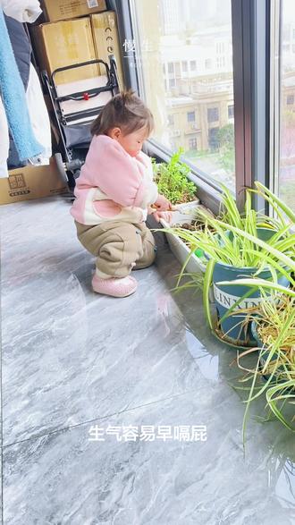 又是心平气和的一天😂