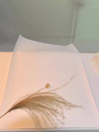 如何利用简单低成本的道具拍摄出高级感的饰品图片。 #饰品拍摄 #饰品拍摄创意 #珠宝饰品拍摄 #饰品拍摄教程 #饰品拍摄高级感