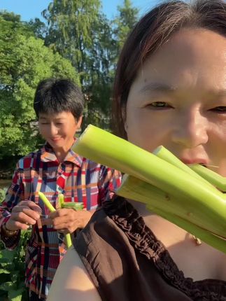崇明甜芦粟,喜欢吃的朋友兰姐给你们安排! 视频同款#点击小黄车直接购买