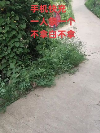 #无限回购的宝藏单品 手机快充,一个号可撸一份,快薅起来呀!#快充 #超级快充 #爆款热卖中 #充电器