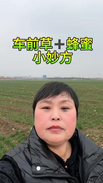 车前草+蜂蜜使用方法#莱州#莱州同城#同城热点